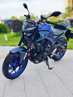 Yamaha MT-03 320 cc - ფოტო 5