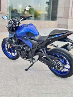Yamaha MT-03 320 cc - ფოტო 7