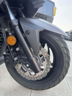 QJMOTOR Hong 250 - ფოტო 6