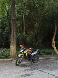 Voge 300GY Rally - ფოტო 4