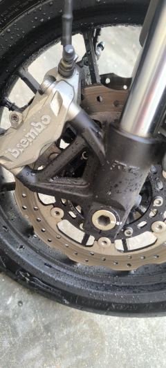 Benelli 502C 500 cc - фото 2