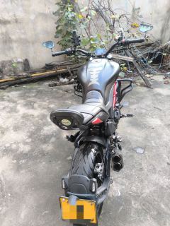 Benelli 502C 500 cc - фото 6