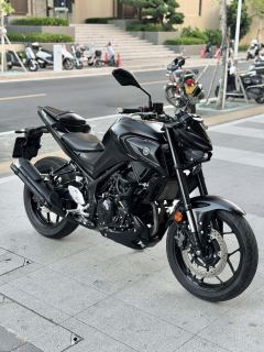 Yamaha MT-03 320 cc - ფოტო 3