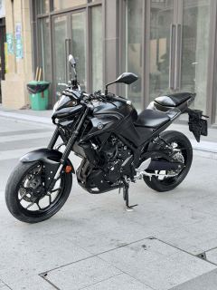 Yamaha MT-03 320 cc - ფოტო 8