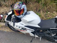 ZXMOTO 500RR - photo 3