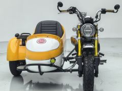 Stoner Ape 125 Side Tricycle - ფოტო 8