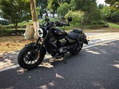 Cyclone AQS250 - ფოტო 4