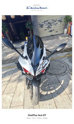 QJMOTOR SRK 450 - фото 2