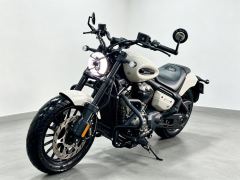 Benda Chinchilla 350 - photo 1