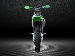 Xinguizun 250 Edition - photo 6