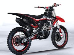 Xinguizun SHR-7 250 cc - ფოტო 7