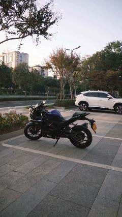 Yamaha YZF-R3 320 cc - ფოტო 3