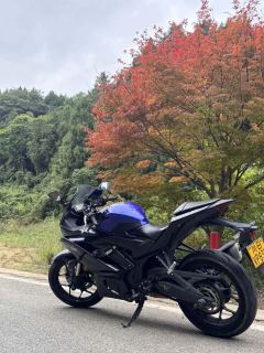 Yamaha YZF-R3 320 cc - ფოტო 4
