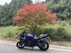 Yamaha YZF-R3 320 cc - ფოტო 5