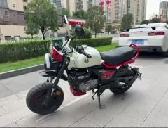 Zongshen Little Bear 150 cc - photo 1