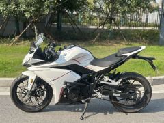 Kayo 250RR Thornbird - ფოტო 1