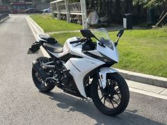 Kayo 250RR Thornbird - ფოტო 5