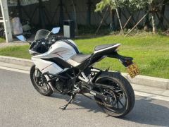 Kayo 250RR Thornbird - ფოტო 8