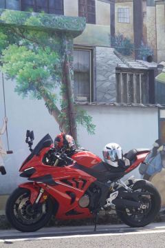 QJMOTOR SRK 800 - ფოტო 1