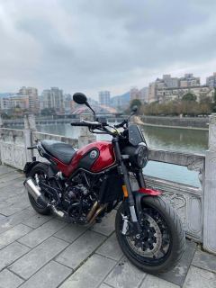 Benelli Leoncino 500 - photo 2
