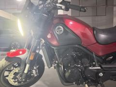 Benelli Leoncino 500 - photo 3
