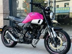 Sundiro Honda CBF190TR - photo 2
