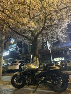 Voge CU525 500 cc - photo 2