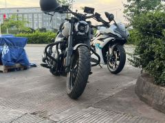 Benda Chinchilla 350 - photo 4