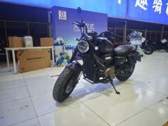 QJMOTOR Flash 300 - фото 2