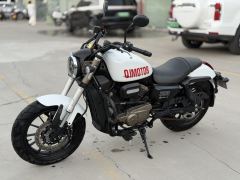 QJMOTOR Flash 300 - photo 3