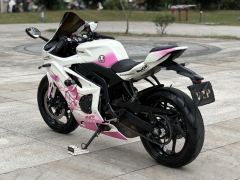 Kayo 450RR - ფოტო 9