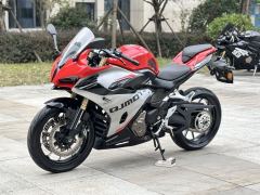QJMOTOR SRK 450 - photo 7