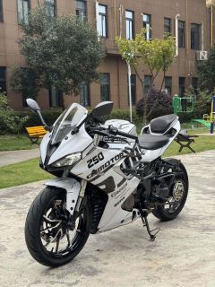 QJMOTOR SRK 250 - ფოტო 3
