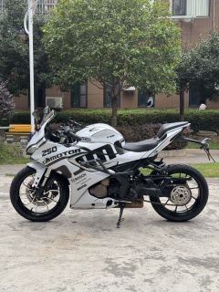 QJMOTOR SRK 250 - ფოტო 4