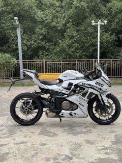 QJMOTOR SRK 250 - ფოტო 7