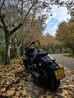 Benda Darkflag 500 - photo 1