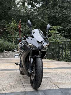 QJMOTOR SRK 250 - фото 2