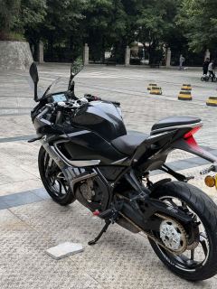 QJMOTOR SRK 250 - фото 6