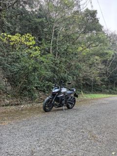 Kayo 450R - ფოტო 3