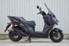 QJMOTOR Hong 250 - фото 4