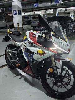 Kayo 321RR 320 cc - фото 4