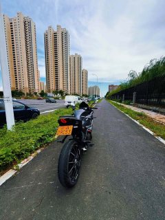 QJMOTOR SRK 250 - ფოტო 6