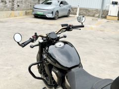 Benda Chinchilla 450 - photo 5