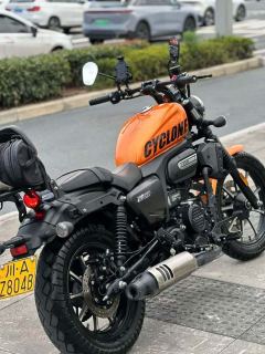 Cyclone RA250 - ფოტო 7