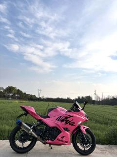Kawasaki Ninja 400 - photo 1
