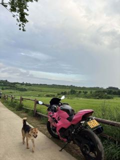 Kawasaki Ninja 400 - photo 2