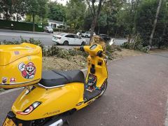 Sundiro Honda NS150LA - ფოტო 5
