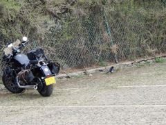 Benda Polestones 03 Gray 300 cc - photo 1