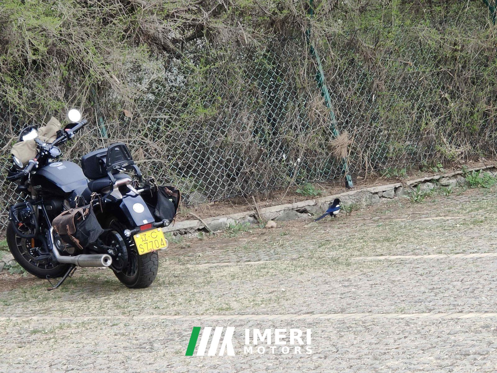 2021 Benda Polestones 03 Gray 300 cc