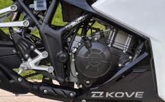 Kayo 250RR Thornbird - ფოტო 8
